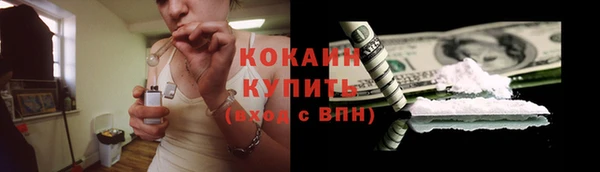 спайс Алексин