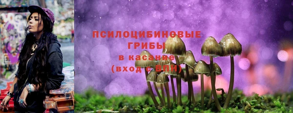 шишки Алексеевка