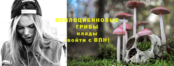 спайс Алексин