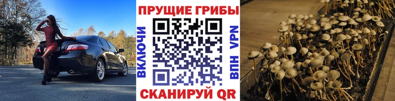 Галлюциногенные грибы MAGIC MUSHROOMS  Шатура 