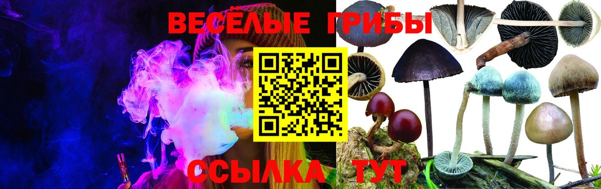 Шатура  Галлюциногенные грибы мицелий  Вход с VPN 